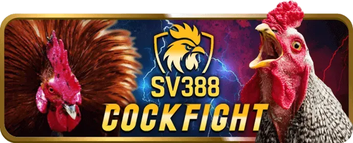 Đa dạng trò chơi cá cược tại j88bet code
